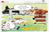 کارتون/  توصیه بهداشتی یک گاو به فرزندش!
