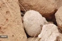 (ویدئو) کشف فسیل‌های ۴۰ میلیون ساله در کوه چرخه نطنز