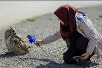 (عکس) وقتی مجری صدا و سیما می‌خواهد با پرنده مصاحبه کند!