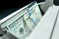 الگوی متفاوت قیمت دلار