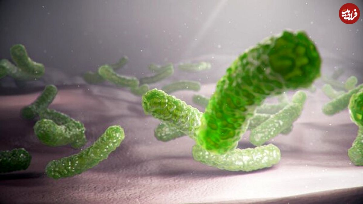 این باکتری موجود در گوشت علت بروز بسیاری از عفونت‌های مجاری ادرار