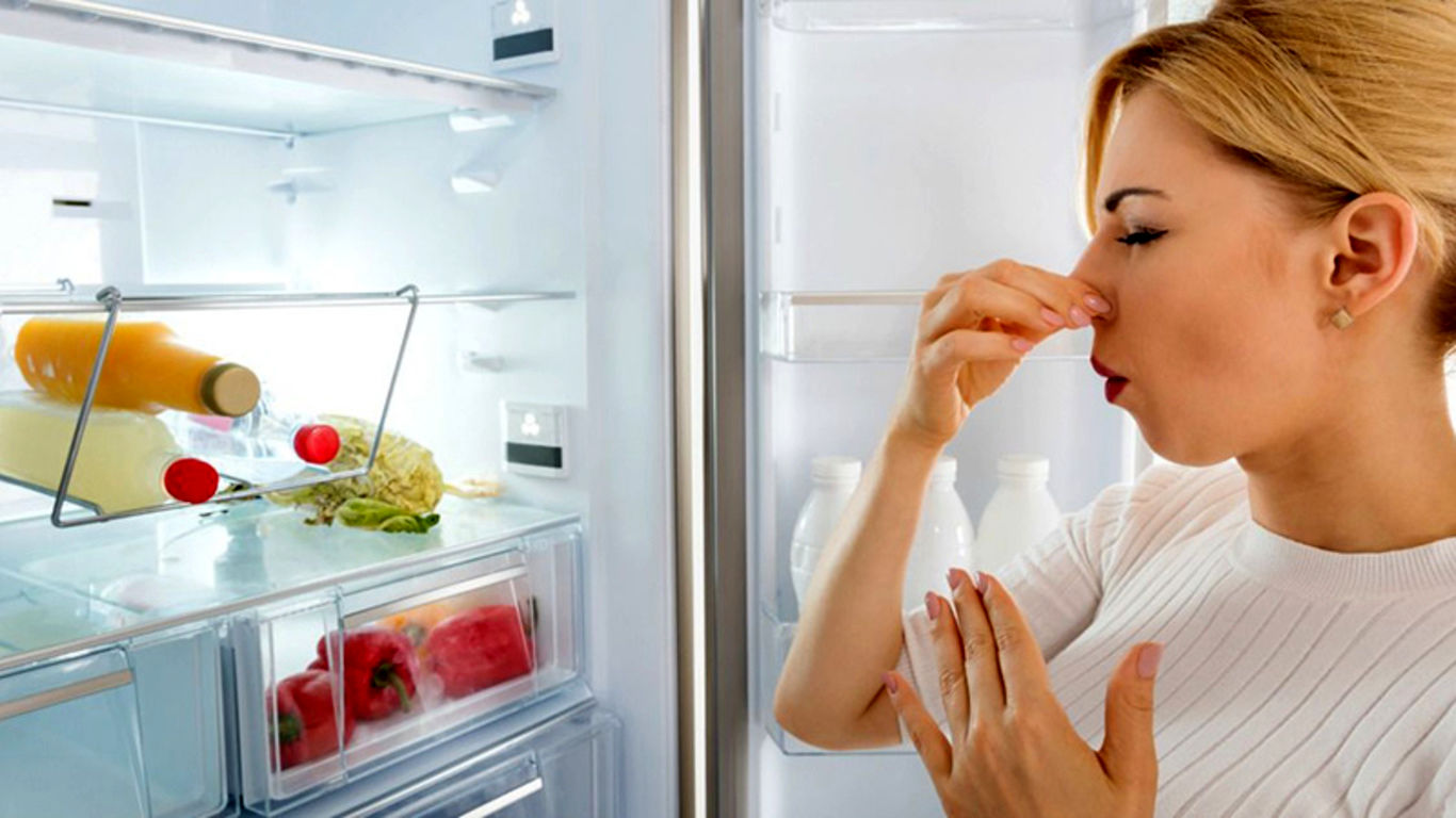 چگونه بوی بد یخچال را از بین ببریم؟