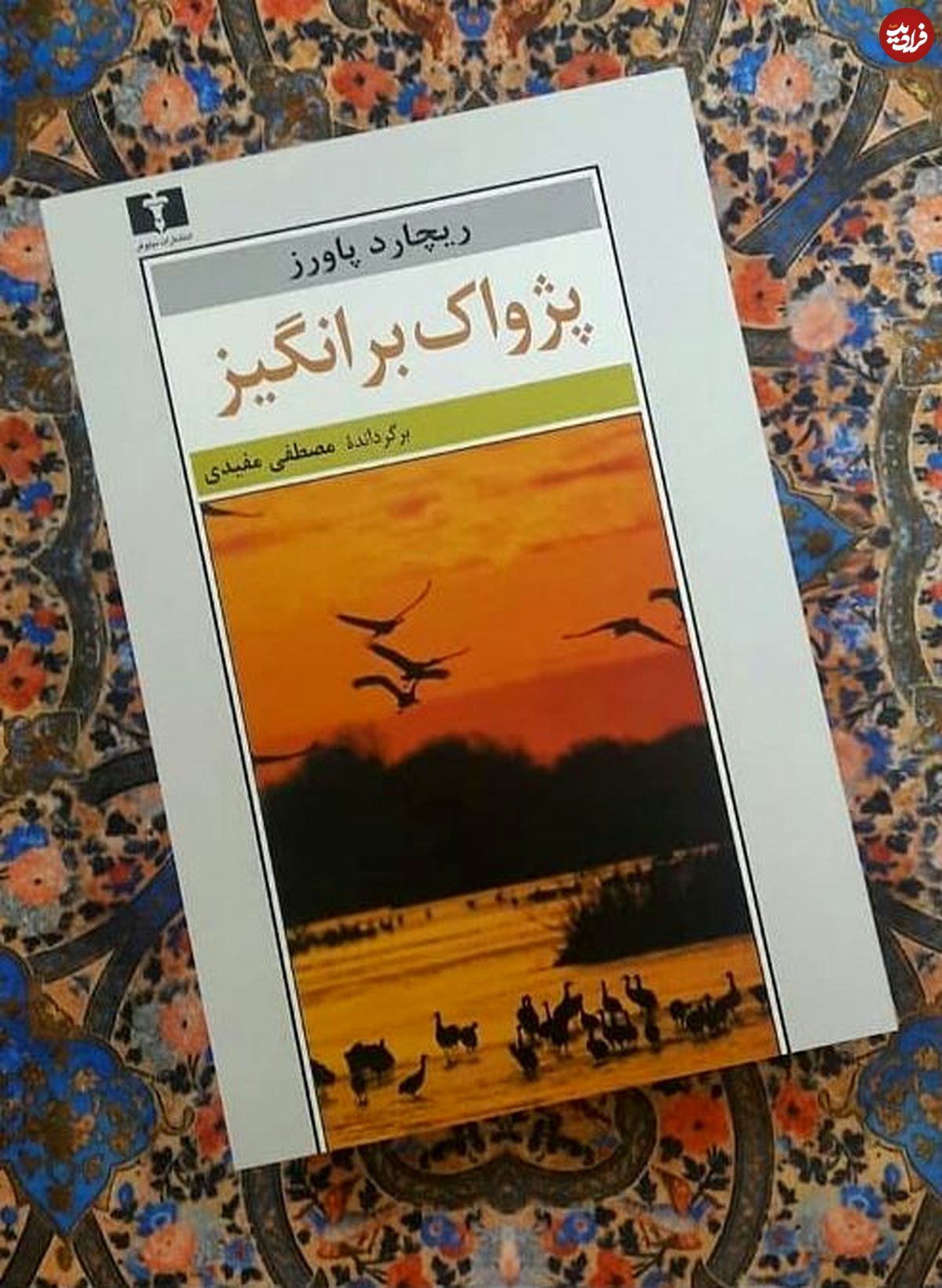 رمان «پژواک برانگیز» ریچارد پاورز
