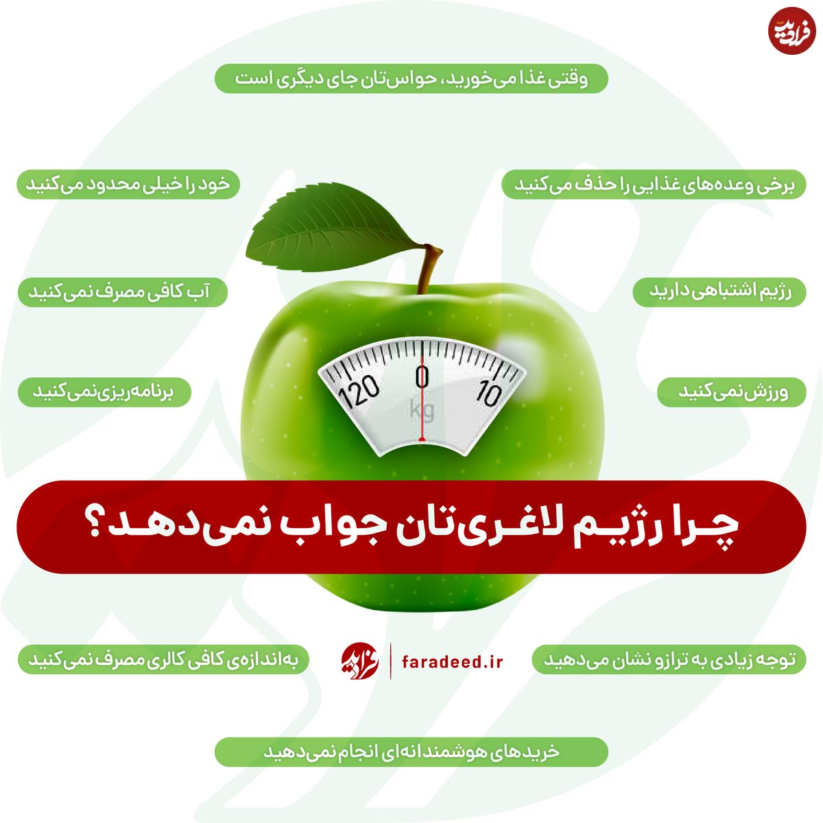اینفوگرافی/ چرا رژیم لاغریتان جواب نمیدهد؟