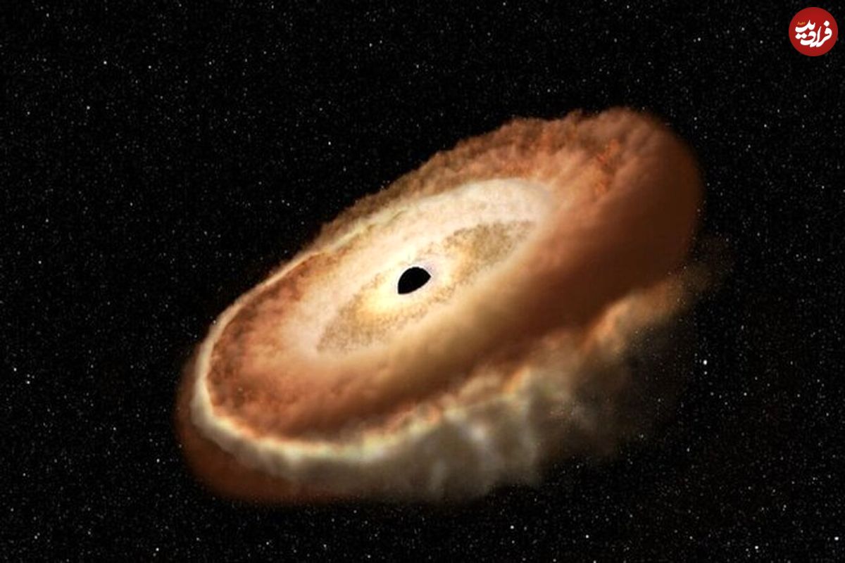 کشف سیاهچاله گرسنه‌ای که در حال تبدیل کردن یک ستاره به «دونات» است