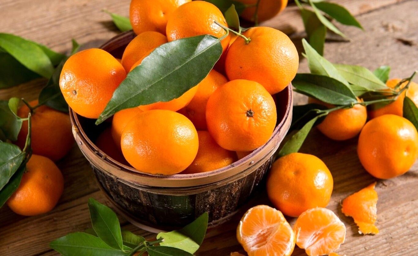 نارنگی‌های نوبر به زور مواد سمی؛ مراقب باشید!