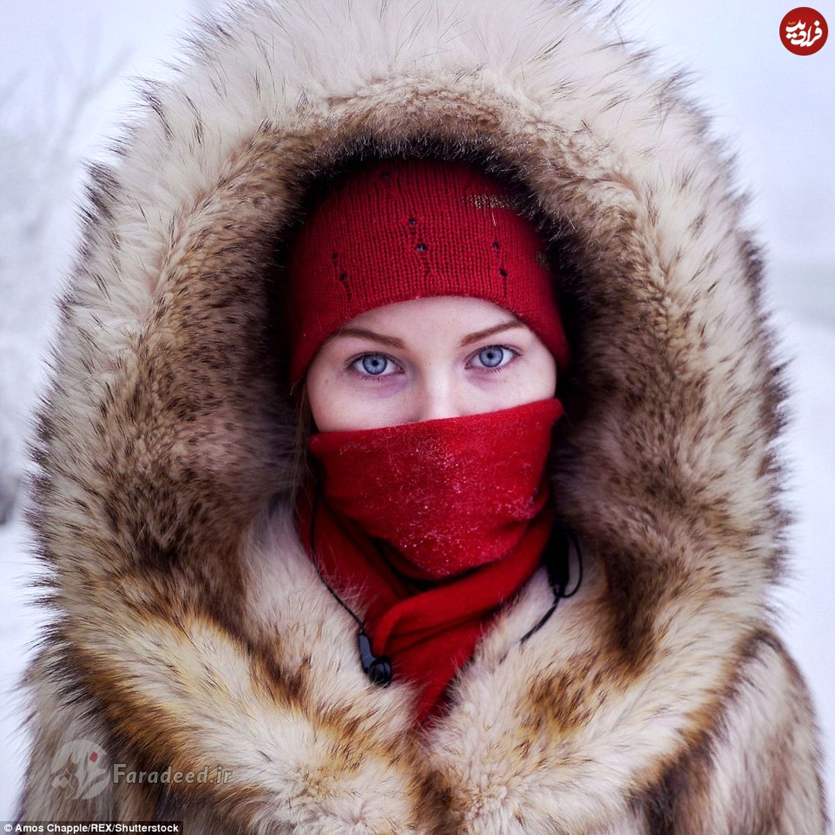 تصاویر/ زندگی در "سردترین نقطه جهان"