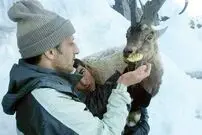داستان عجیب بز به دوش‌ها در برف