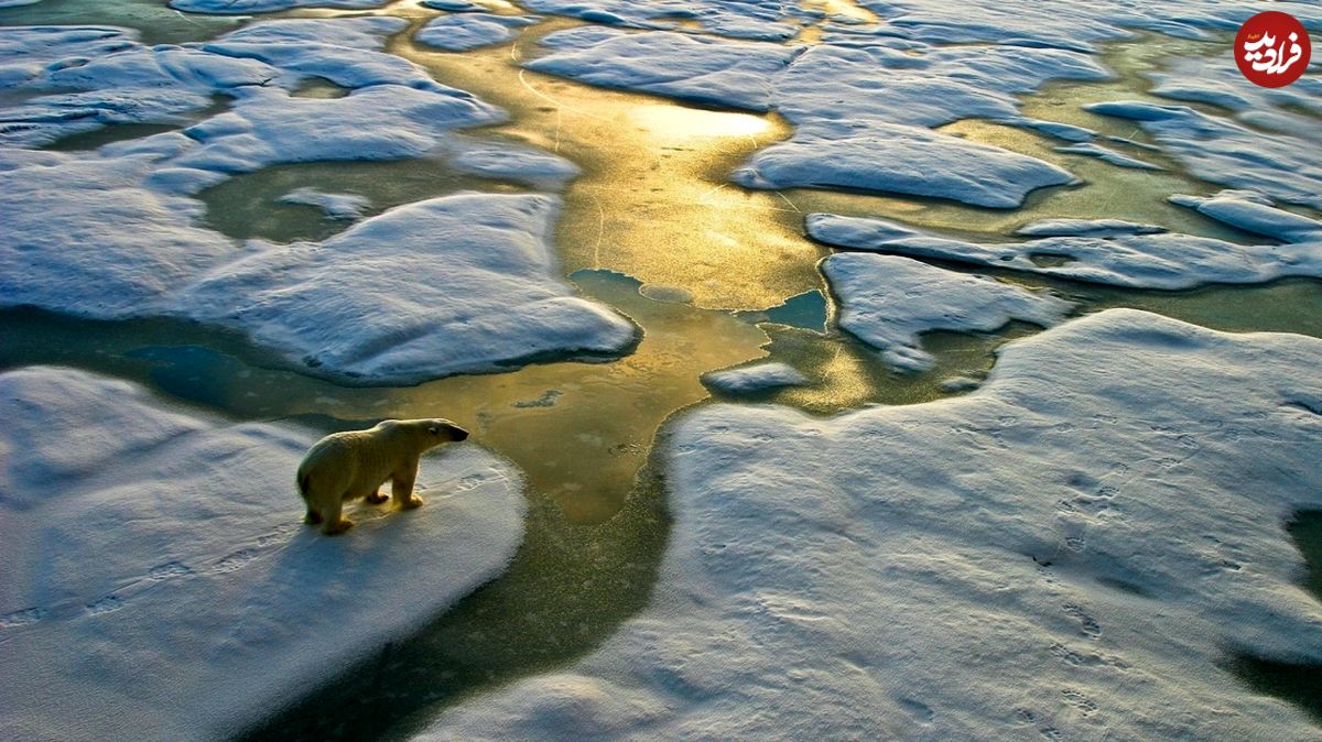 رکوردشکنی گرما در قطب شمال