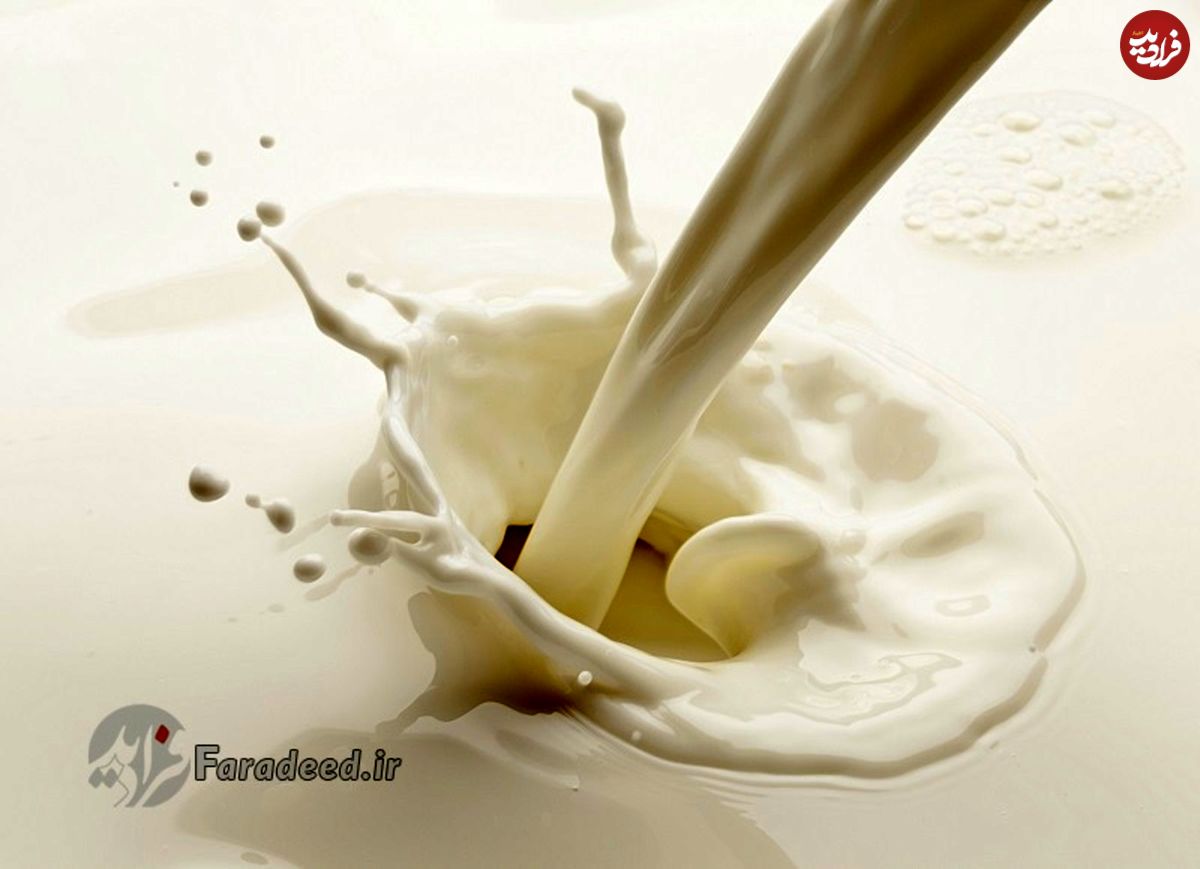 شیر بنوشیم یا نه؟