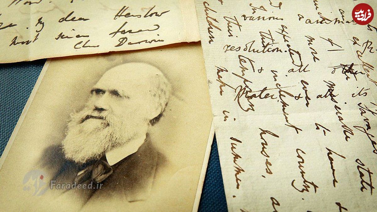 راز نفرت‌انگیز داروین، درباره چه چیزی است و چرا مطرح شد؟