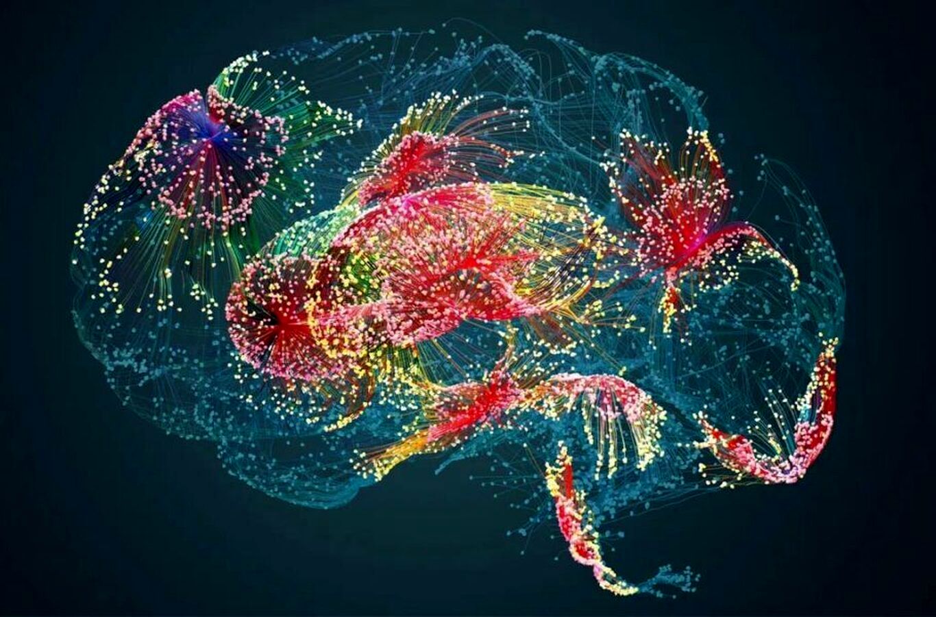 کشف جدید؛ لایه‌ای در مغز انسان که از سلول‌ها محافظت می‌کند