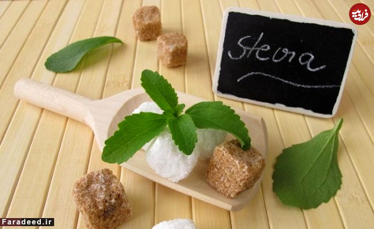 گیاهی برای ترک آسان سیگار
