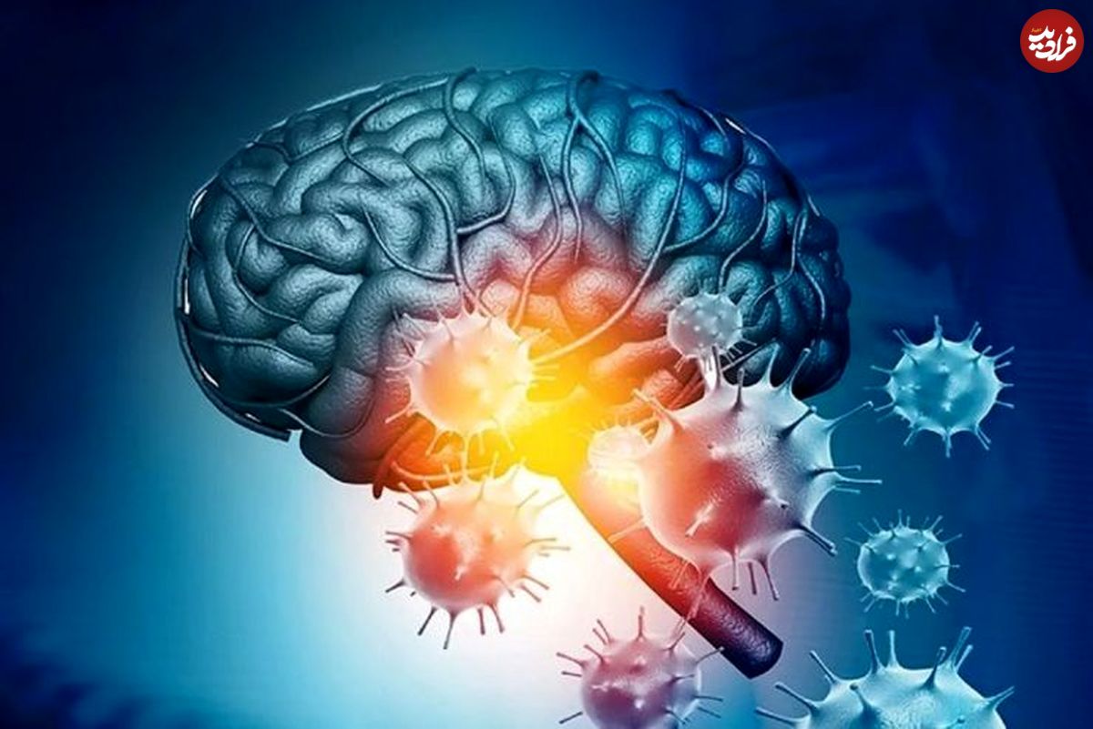 ویروس کرونا از راه بینی وارد مغز انسان می‌شود