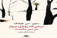 پرواز کودکانه