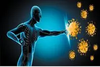 چگونه سیستم ایمنی بدن را تقویت کنیم؟ / ۸ راه موثر را بشناسید