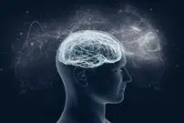 ۸ باور رایجِ غلط درباره مغز