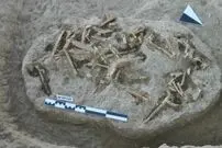 شناسایی فسیل «میمون‌های ۱۰ میلیون‌ ساله» در ترکیه