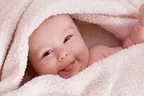 سقوط محمود، صعود ستایش