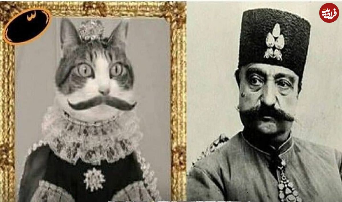 (عکس) ببری خان؛ مشهورترین گربه تهران را بشناسید
