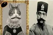 (عکس) ببری خان؛ مشهورترین گربه تهران را بشناسید