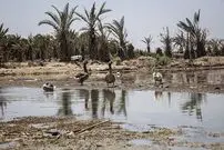 «شادگان»؛ بی‌آب و بی‌پول