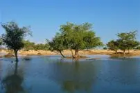 روستایی بکر در دل جزیره کیش؛ روحتان تازه می‌شود!