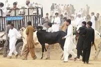 اتاقک وحشتی به نام قرنطینه!