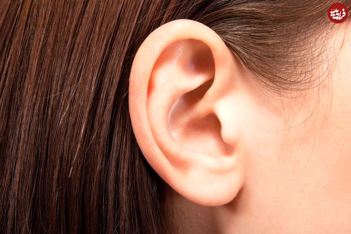 اینفوگرافیک/ چند راه ساده برای سالم نگه داشتن گوش‌ها