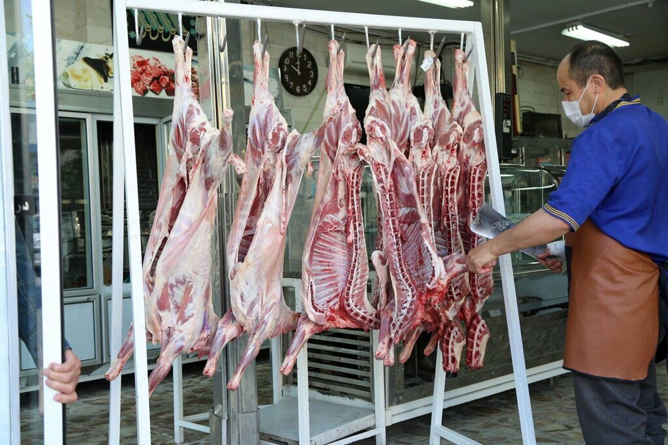 جزئیات برنامه جدید دولت برای تنظیم بازار گوشت