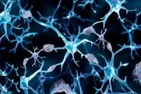 چرا مبتلایان به سرطان کمتر آلزایمر می‌گیرند؟