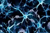 چرا مبتلایان به سرطان کمتر آلزایمر می‌گیرند؟