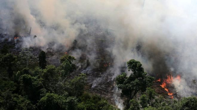 جنگل‌های آمازون با شدتی بی‌سابقه می‌سوزند