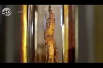 ویدیو/ ماجرای انگشت گالیله