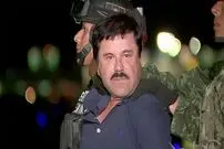 داغ‌کردن کوتوله