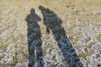یک خبر بد برای قدبلندها!