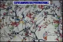 معمای توهم نوری: تنها ۱۰ درصد از مردم می‌توانند عینک را در ۱۱ ثانیه پیدا کنند