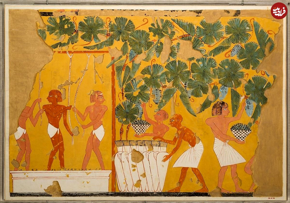 نقاشی‌های مقبره؛ تصاویری تماشایی از هنر مصر باستان