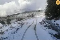 (ویدئو) ذوق‌زدگی عمانی‌ها از دیدن برف