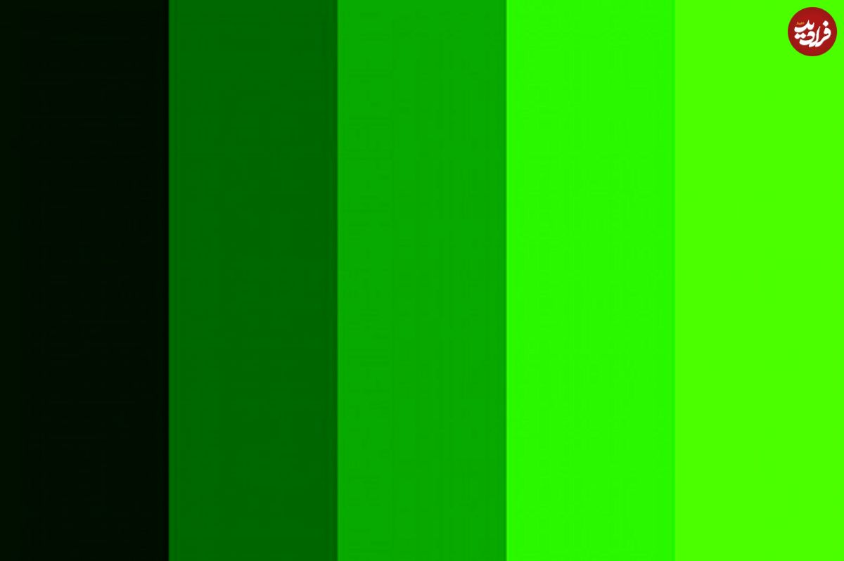 روانشناسی رنگ‌ها؛ سبز رنگ آرامش یا هیجان؟!