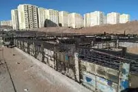 قیمت خرید اوراق مسکن سر به فلک کشید!