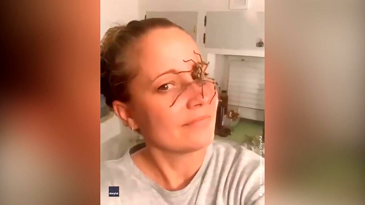 (ویدئو) لحظه وحشتناک راه رفتن عنکبوت ترسناک روی صورت یک زن