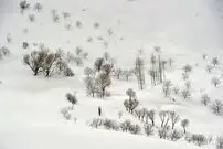 (تصاویر) نمایی از طبیعت سفیدپوش چادگان