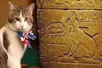 مشهورترین گربه‌های تاریخ؛ از گربۀ پسر فرعون تا گربۀ نخست‌وزیر انگلیس