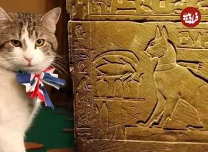 مشهورترین گربه‌های تاریخ؛ از گربۀ پسر فرعون تا گربۀ نخست‌وزیر انگلیس