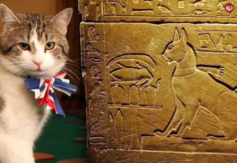 مشهورترین گربه‌های تاریخ؛ از گربۀ پسر فرعون تا گربۀ نخست‌وزیر انگلیس