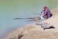 (ویدئو) رفاقت عجیب پیرمرد بلوچ با «گاندو‌ها»