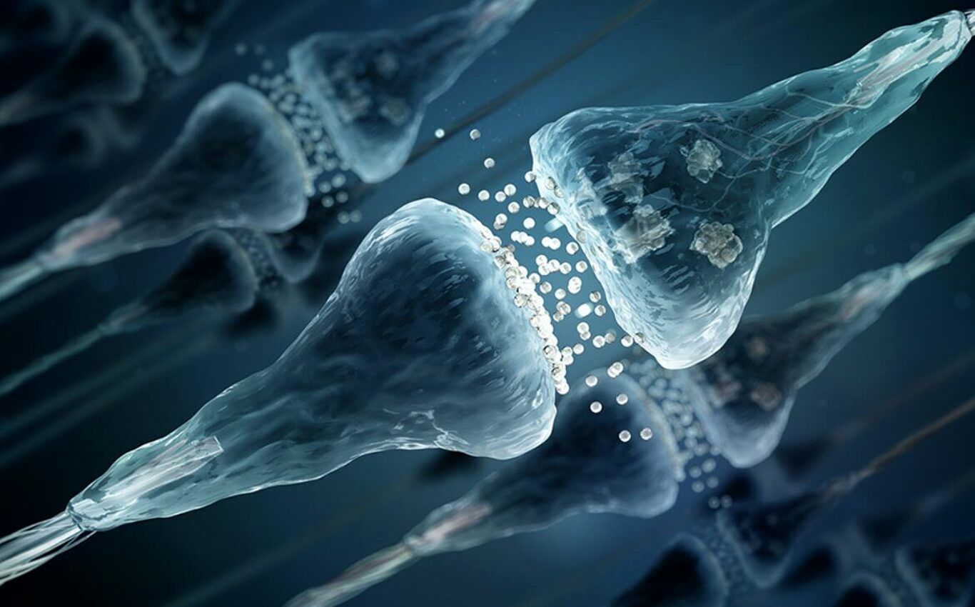 یک کشف شگفت‌انگیز؛ وجود میلیون‌ها سیناپس خاموش در مغز انسان