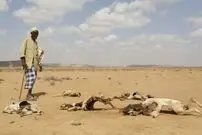 آیا ۲۰۲۳ گرمترین سال تاریخ خواهد بود؟