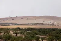 تصاویر/ "جرابلس"پس از آزادی از دست داعش
